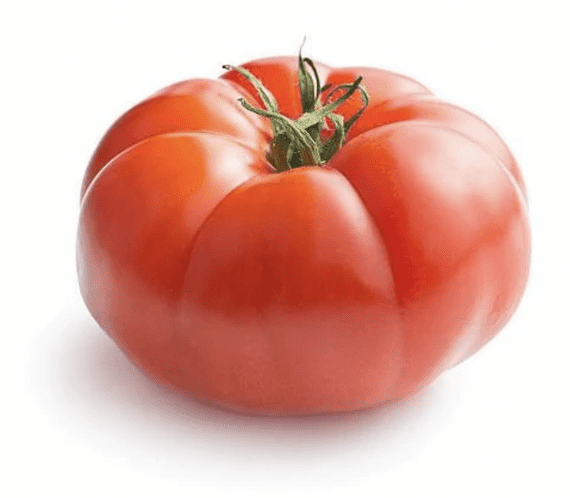 Large Tomato Beefsteak - Each